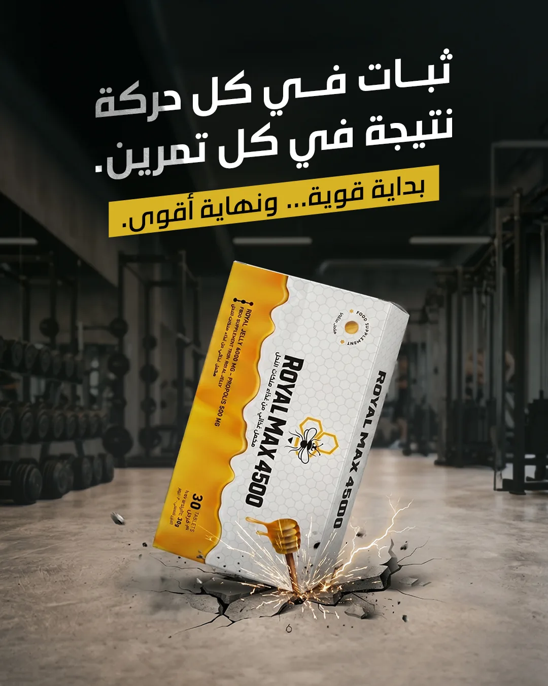 تصوير مطعم Royal Max — الرياض - لقطة 2