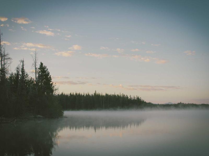 تصوير المودلز والأزياء في الرياض: رؤية فنية من طلال عوض