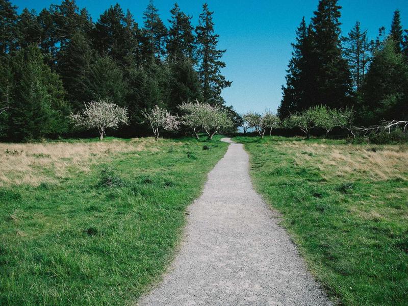 تصوير المعارض التجارية والبوثات في واجهة الرياض