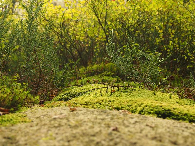 تصوير المعارض التجارية والبوثات في واجهة الرياض