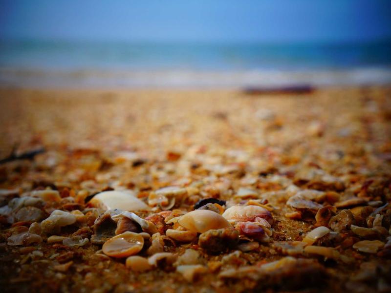 تصوير الأجهزة الإلكترونية والتقنية بدقة عالية