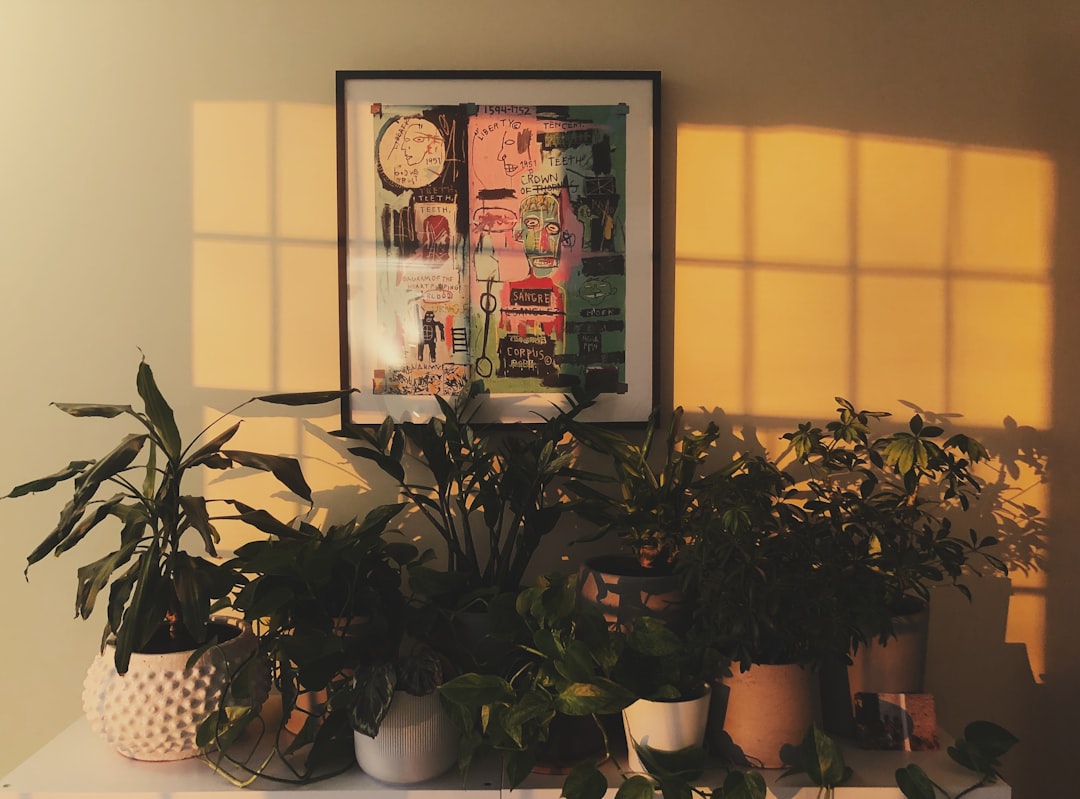 الفرق بين البورتريه الداخلي والخارجي: أيهما تختار؟