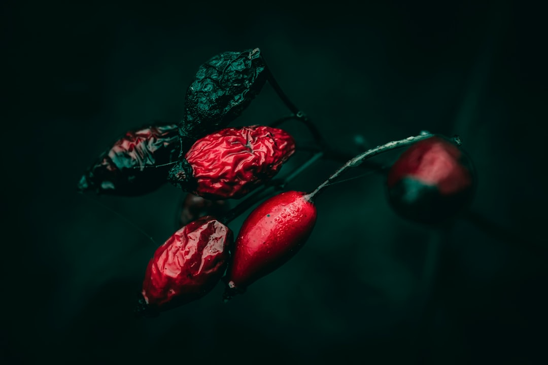 إضاءة المطاعم الخافتة: كيف يتعامل معها المصور المحترف طلال عوض؟