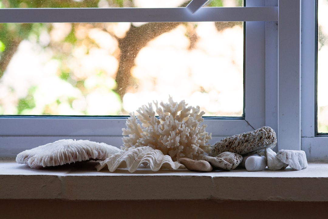 كيفية معالجة صور العقارات لإظهار الإضاءة الطبيعية بشكل مثالي