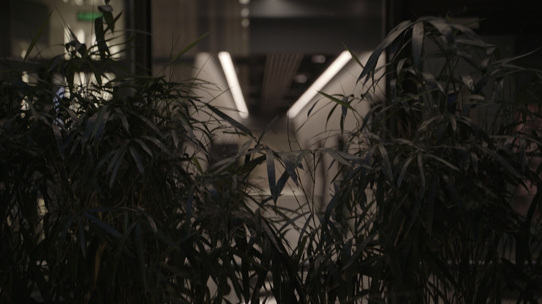 الفرق بين البورتريه الداخلي والخارجي: أيهما تختار؟