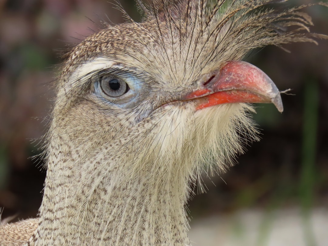 فن تصوير الوجوه (Headshots): التركيز على العيون والتعابير