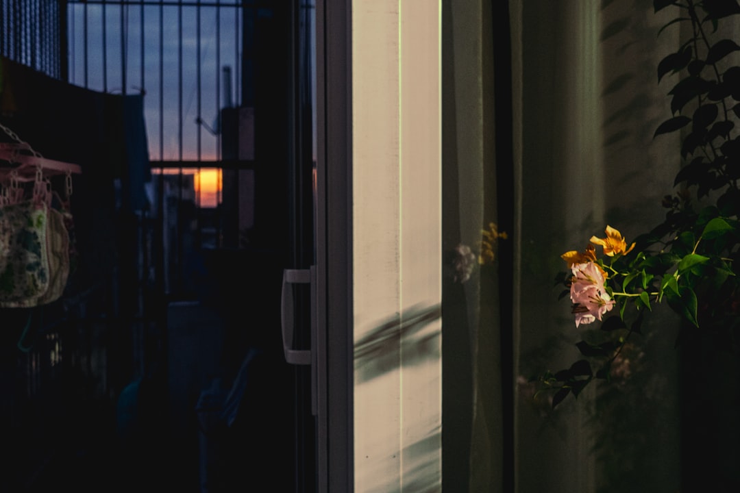 الفرق بين البورتريه الداخلي والخارجي: أيهما تختار؟