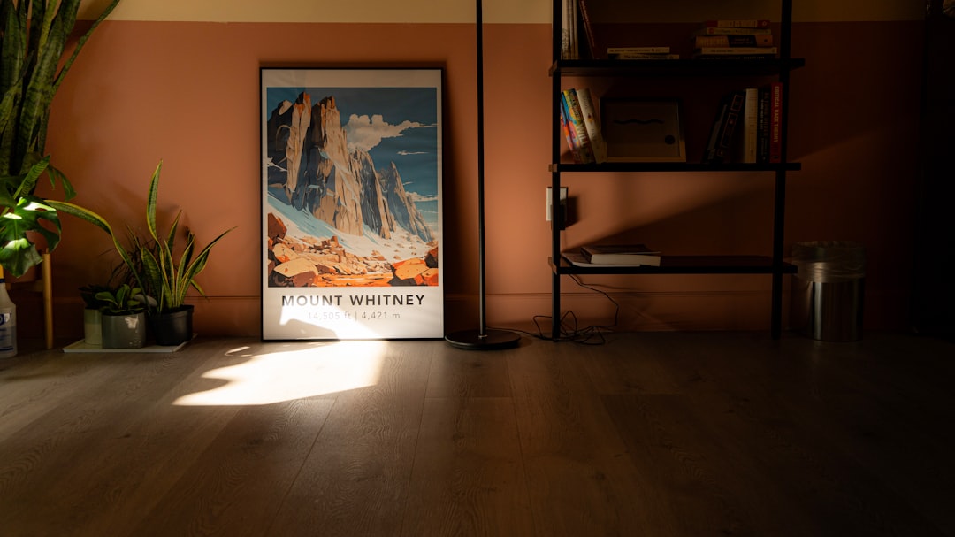 الفرق بين البورتريه الداخلي والخارجي: أيهما تختار؟