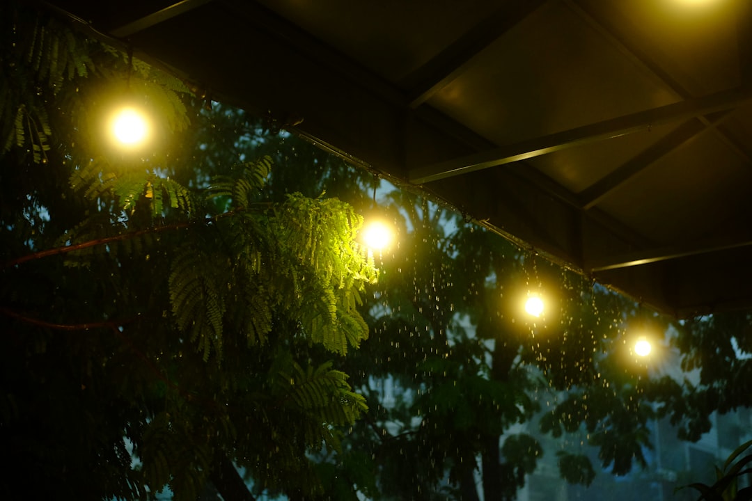 الفرق بين البورتريه الداخلي والخارجي: أيهما تختار؟