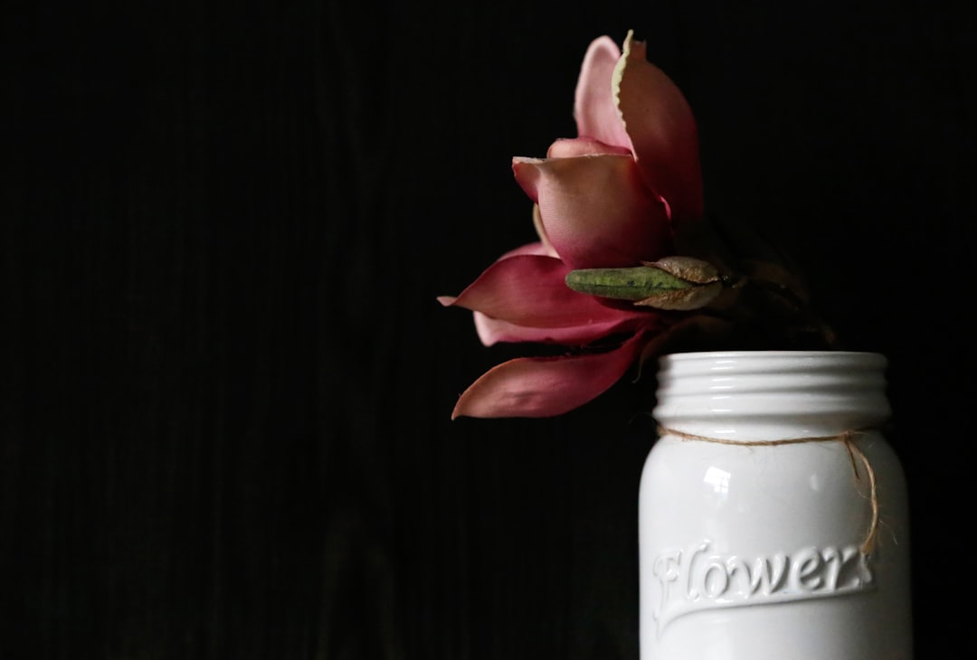 أهمية التصوير بخلفية بيضاء (White Background) لمتاجر سلة وزد