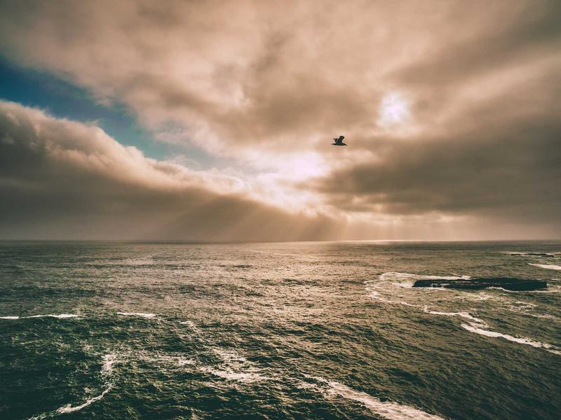 تصوير المعارض التجارية والبوثات في واجهة الرياض