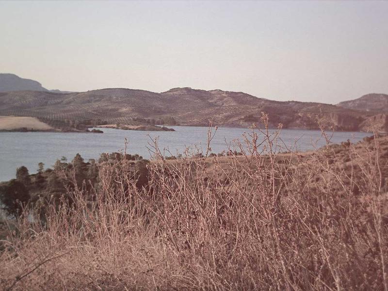 تصوير المودلز والأزياء في الرياض: رؤية فنية من طلال عوض