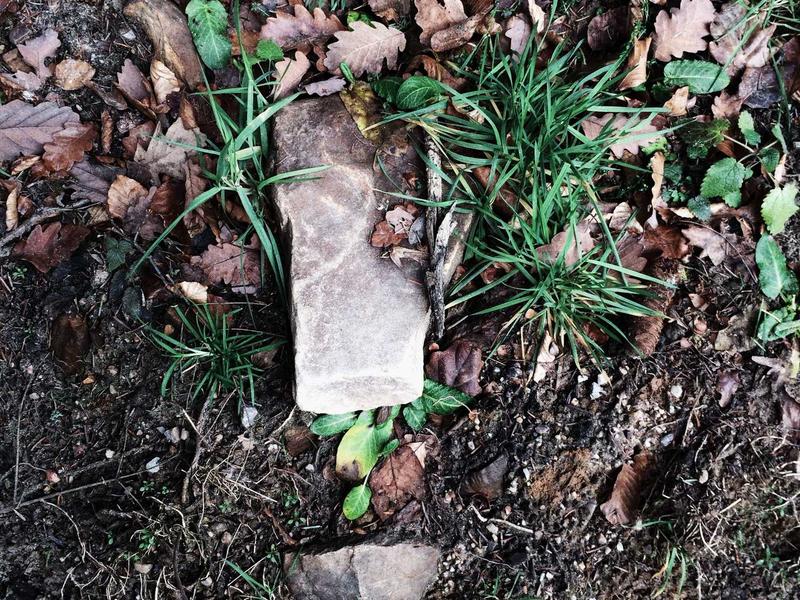 تصوير المودلز والأزياء في الرياض: رؤية فنية من طلال عوض