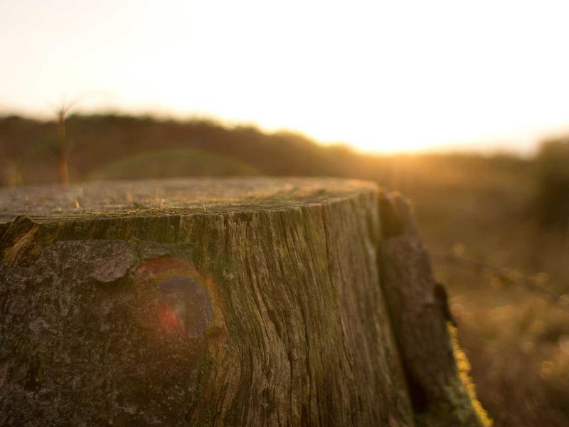 تصوير المودلز والأزياء في الرياض: رؤية فنية من طلال عوض
