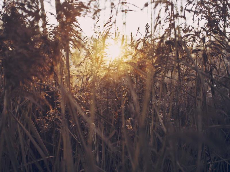 تصوير المودلز والأزياء في الرياض: رؤية فنية من طلال عوض
