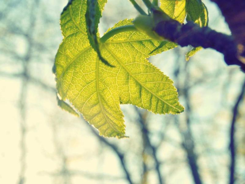 تصوير المودلز والأزياء في الرياض: رؤية فنية من طلال عوض