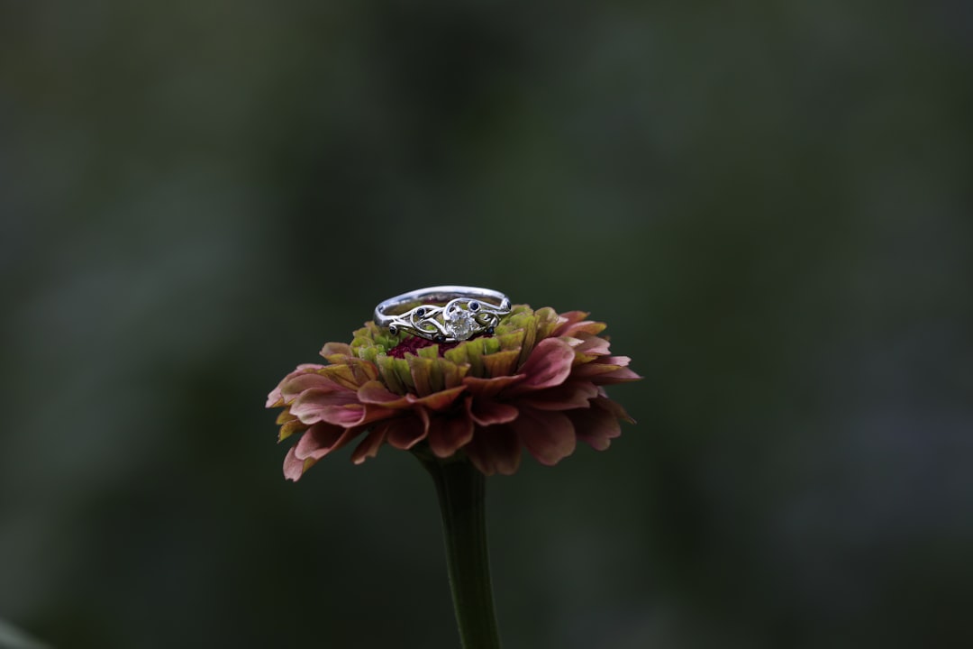 تصوير المجوهرات والذهب: إظهار البريق والدقة المتناهية