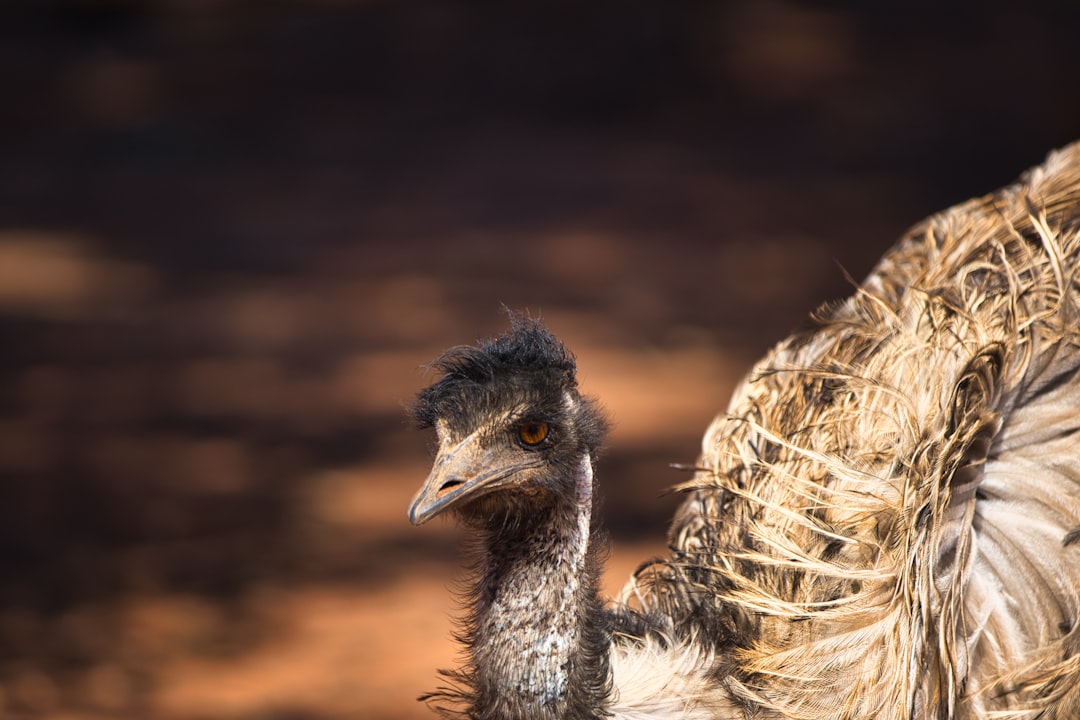 فن تصوير الوجوه (Headshots): التركيز على العيون والتعابير