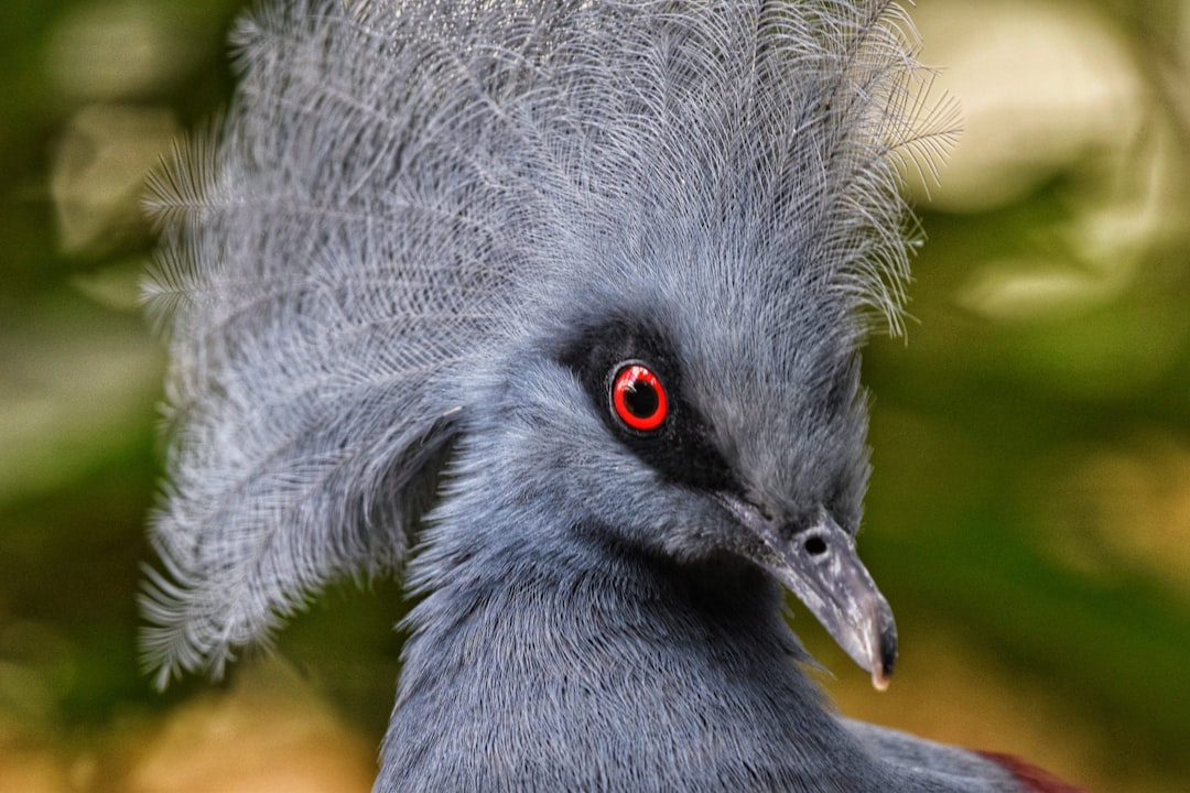 فن تصوير الوجوه (Headshots): التركيز على العيون والتعابير