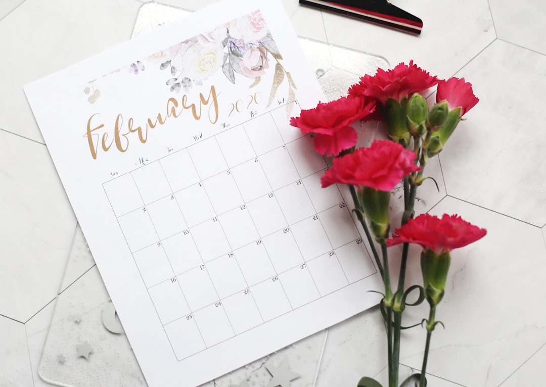 كيفية حجز جلسة تصوير مع طلال عوض: الخطوات والأسعار