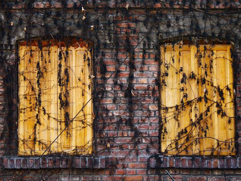 تصوير المودلز والأزياء في الرياض: رؤية فنية من طلال عوض