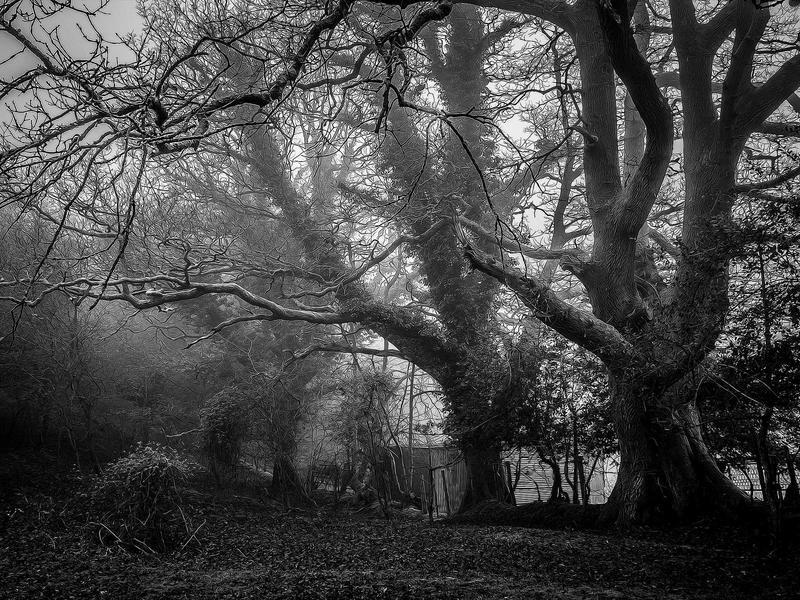 تصوير المودلز والأزياء في الرياض: رؤية فنية من طلال عوض