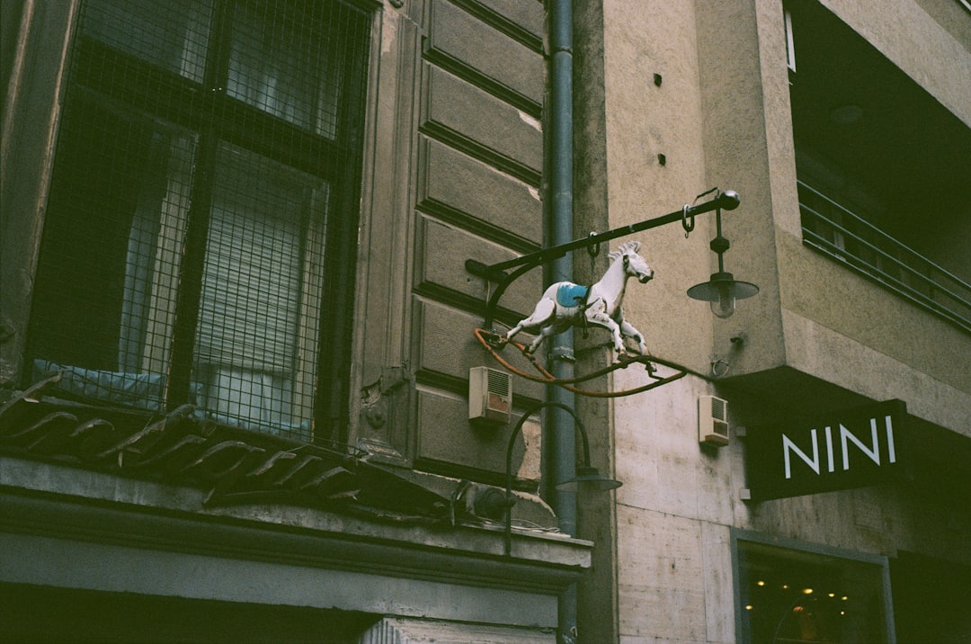 جلسات التصوير الشخصية (Personal Branding) للمؤثرين والمشاهير