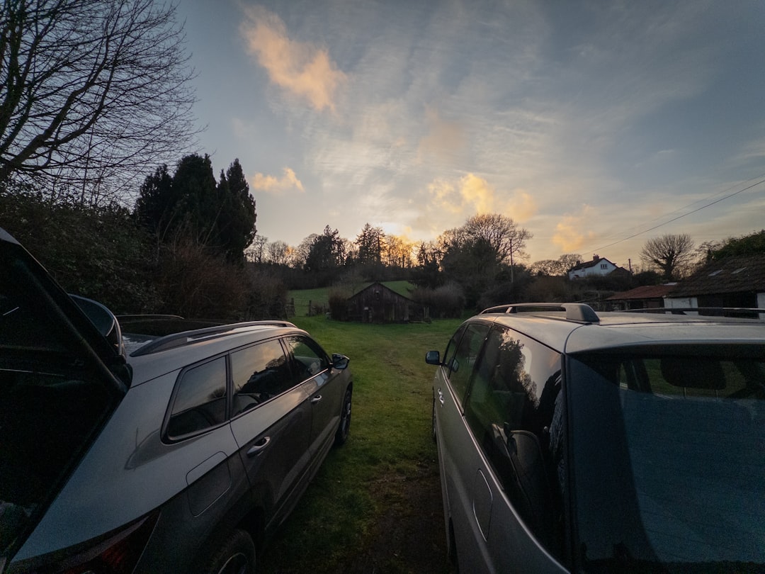 جلسات تصوير الأطفال والعائلة: توثيق اللحظات العفوية