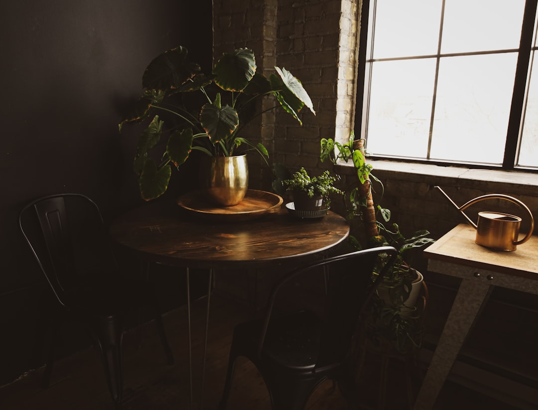 تصوير اللايف ستايل للمنتجات: وضع المنتج في بيئة استخدامه