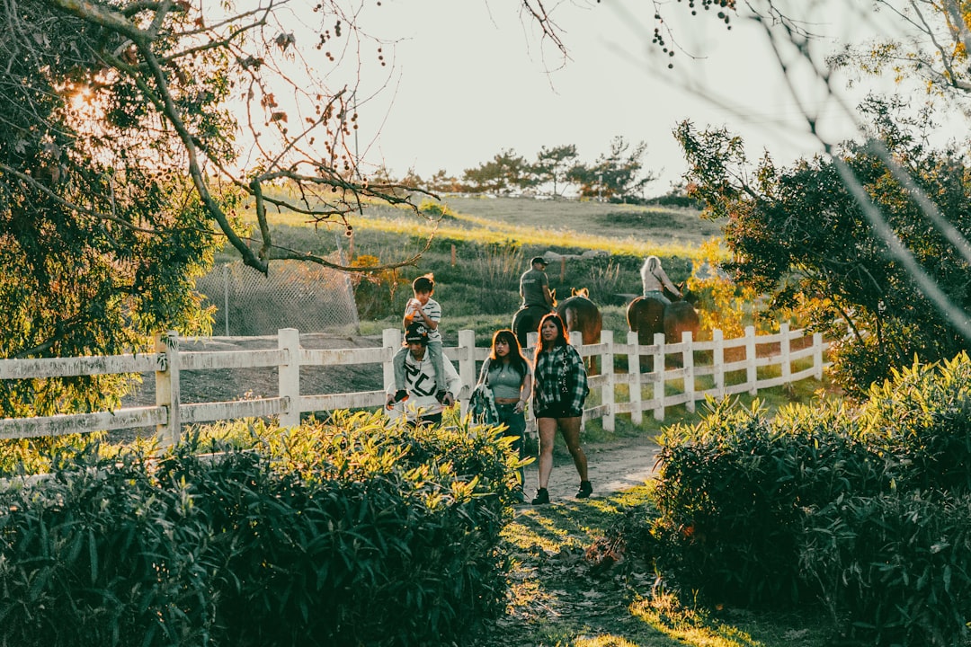 جلسات تصوير الأطفال والعائلة: توثيق اللحظات العفوية