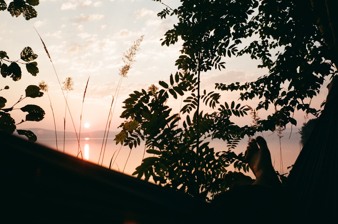 جلسات تصوير الأطفال والعائلة: توثيق اللحظات العفوية