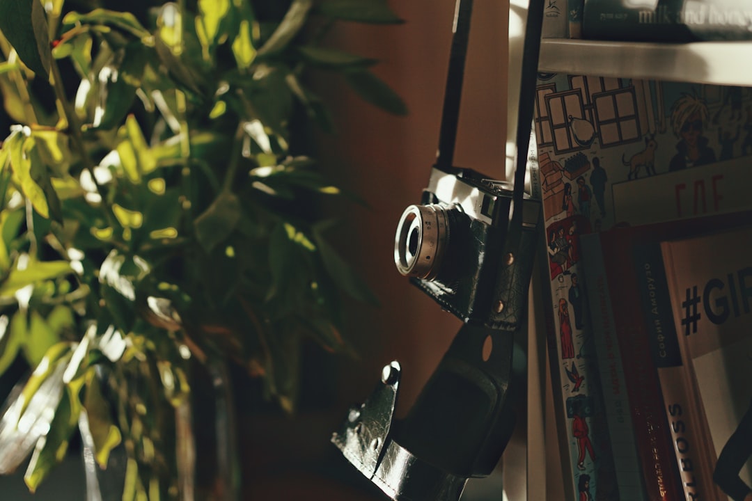 أهمية العدسات الواسعة (Wide Angle) في تصوير الشقق والعقارات